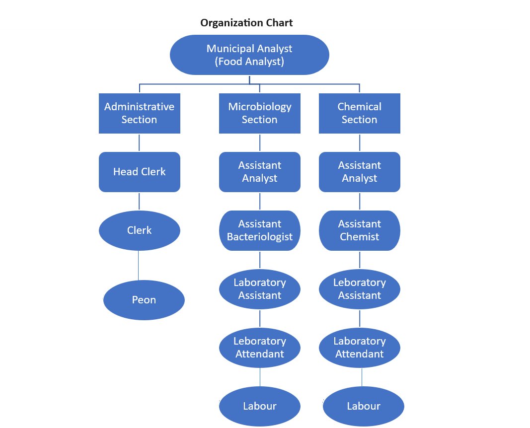 Orgnization Chart