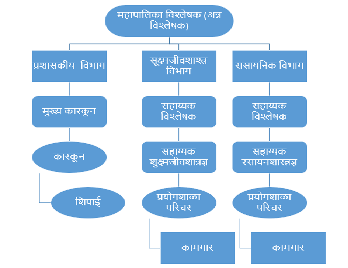 Orgnization Chart